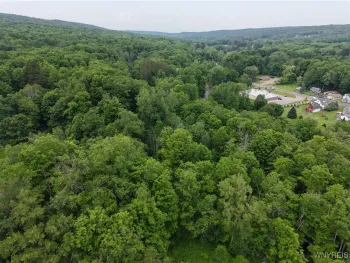 Property at 8762 Lower East Hill Road, Colden, NY 14033