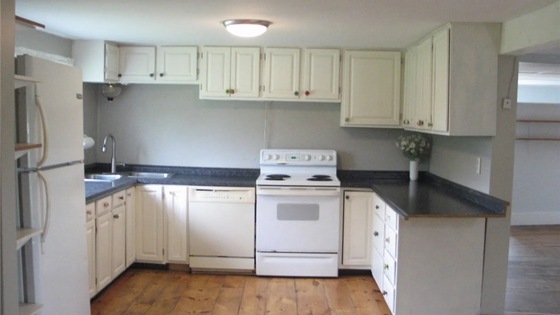 Property at 298 Jersey Hill Road, Danby, NY 14850 6