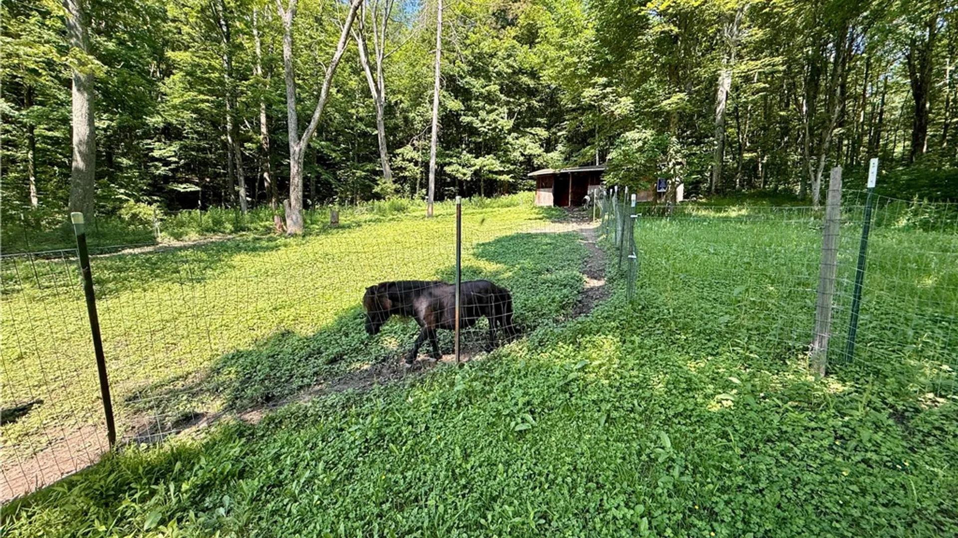 Property at 44 Patterson Lane, Foster Town, PA 16701 41