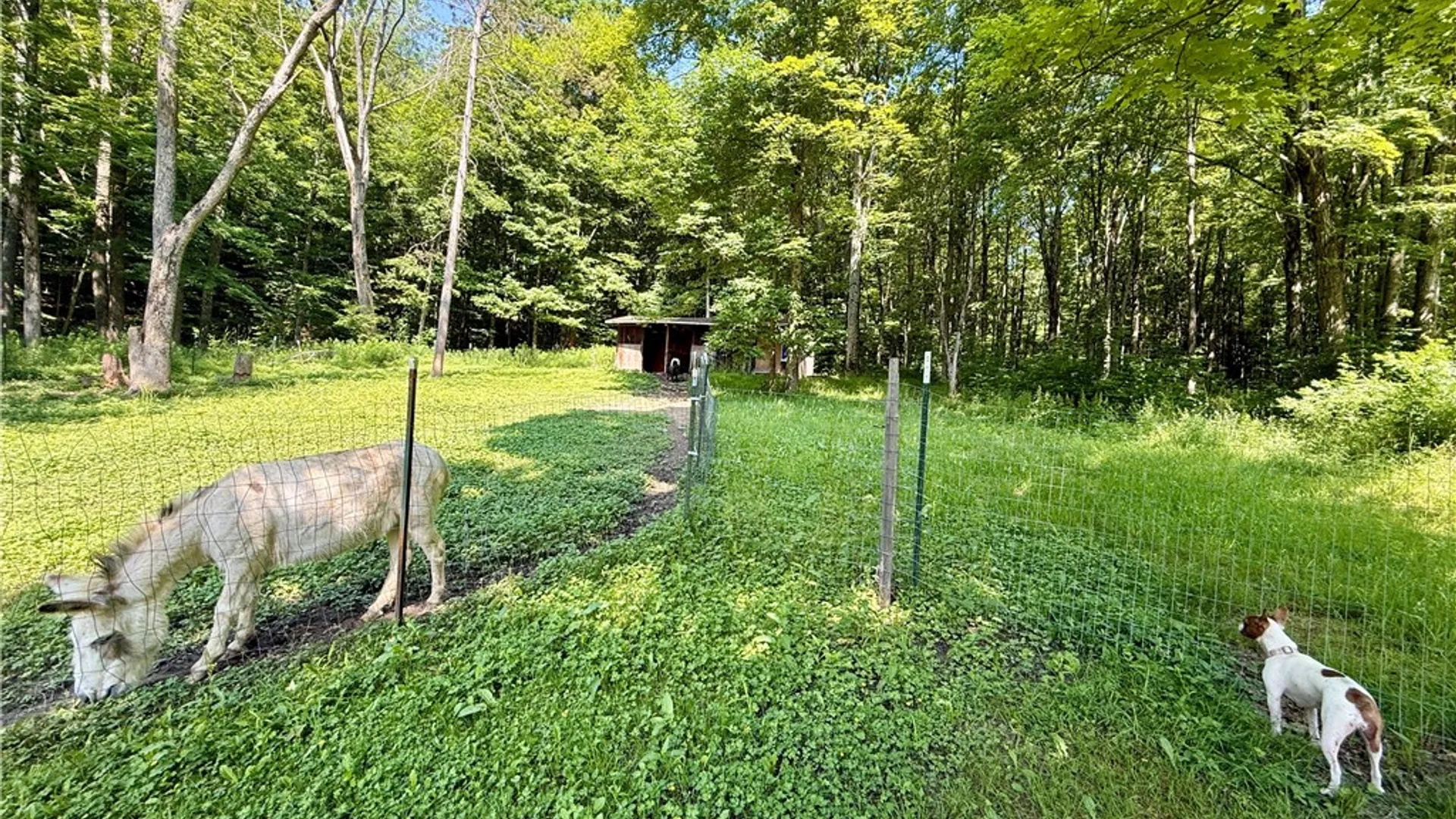 Property at 44 Patterson Lane, Foster Town, PA 16701 43