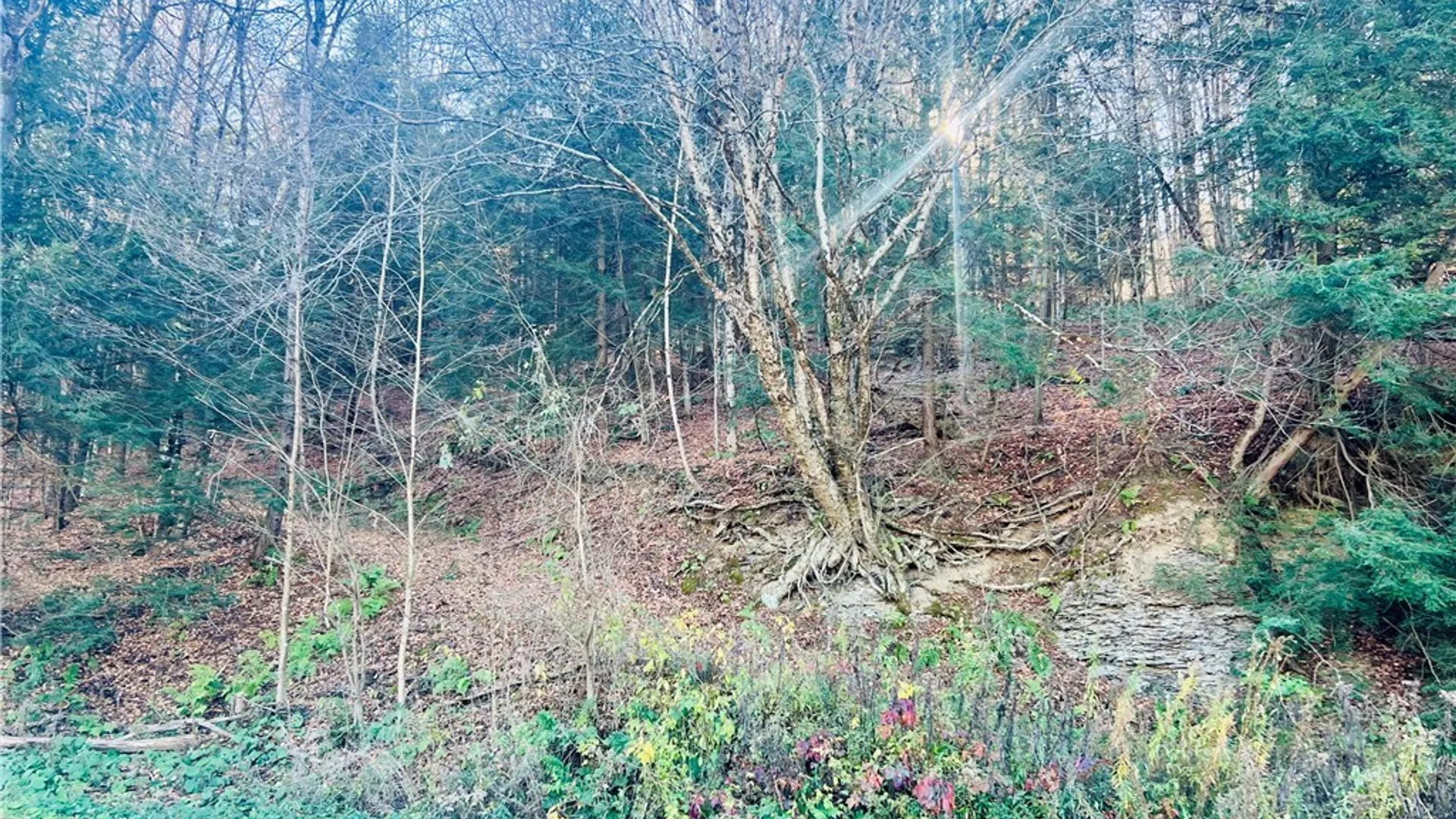 Property at 0 W Cheningo Road Road, Truxton, NY 13158 2