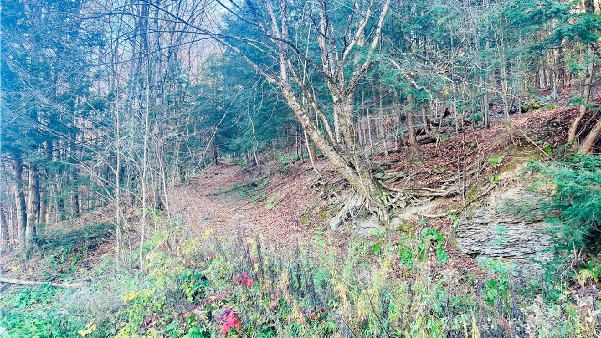 Property at 0 W Cheningo Road Road, Truxton, NY 13158 3