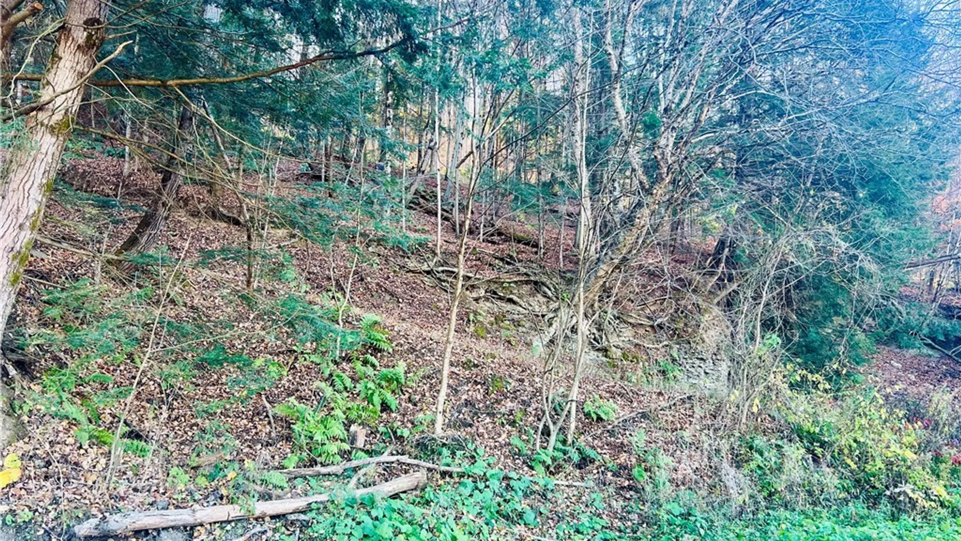 Property at 0 W Cheningo Road Road, Truxton, NY 13158 5