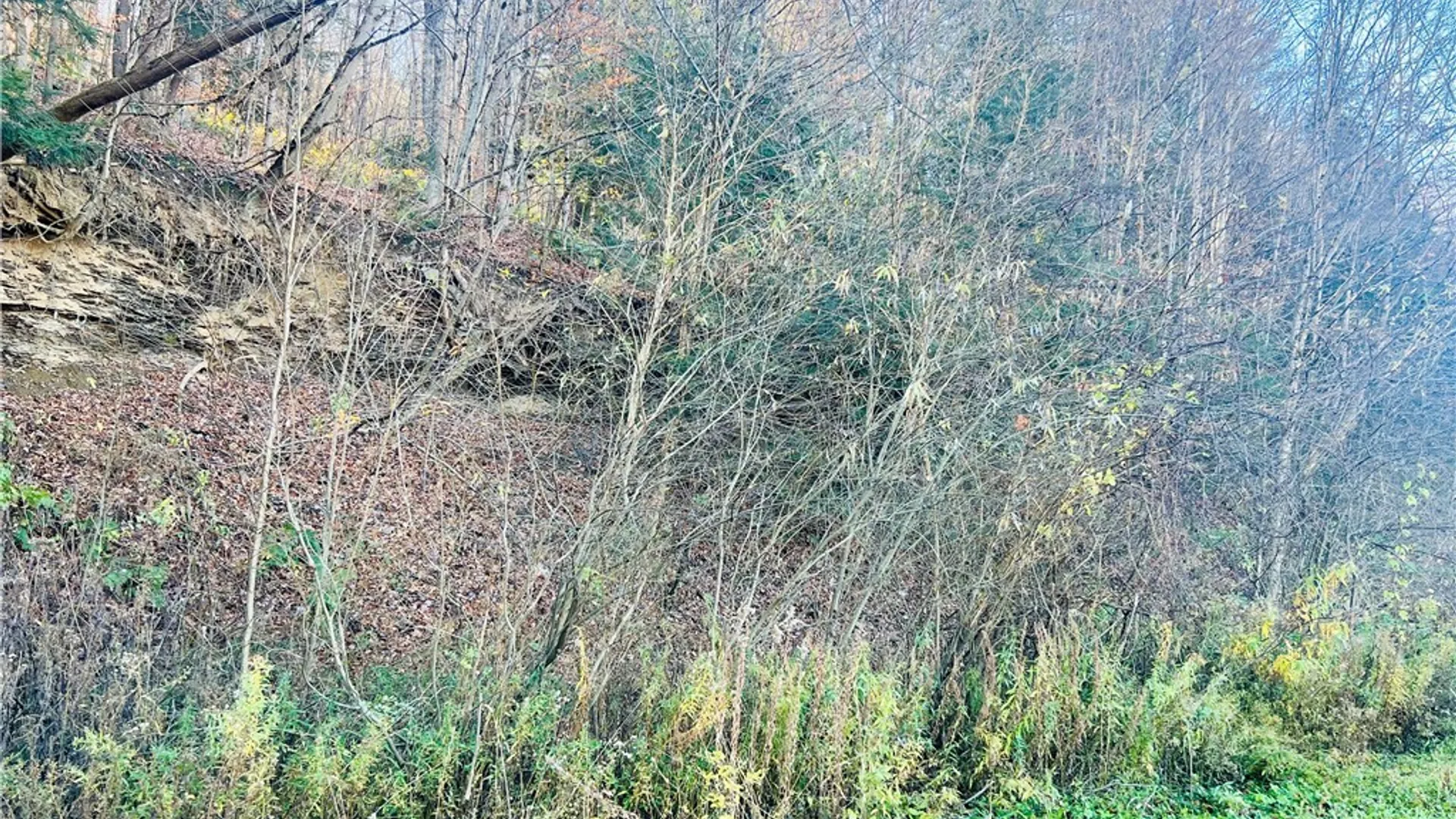 Property at 0 W Cheningo Road Road, Truxton, NY 13158 6