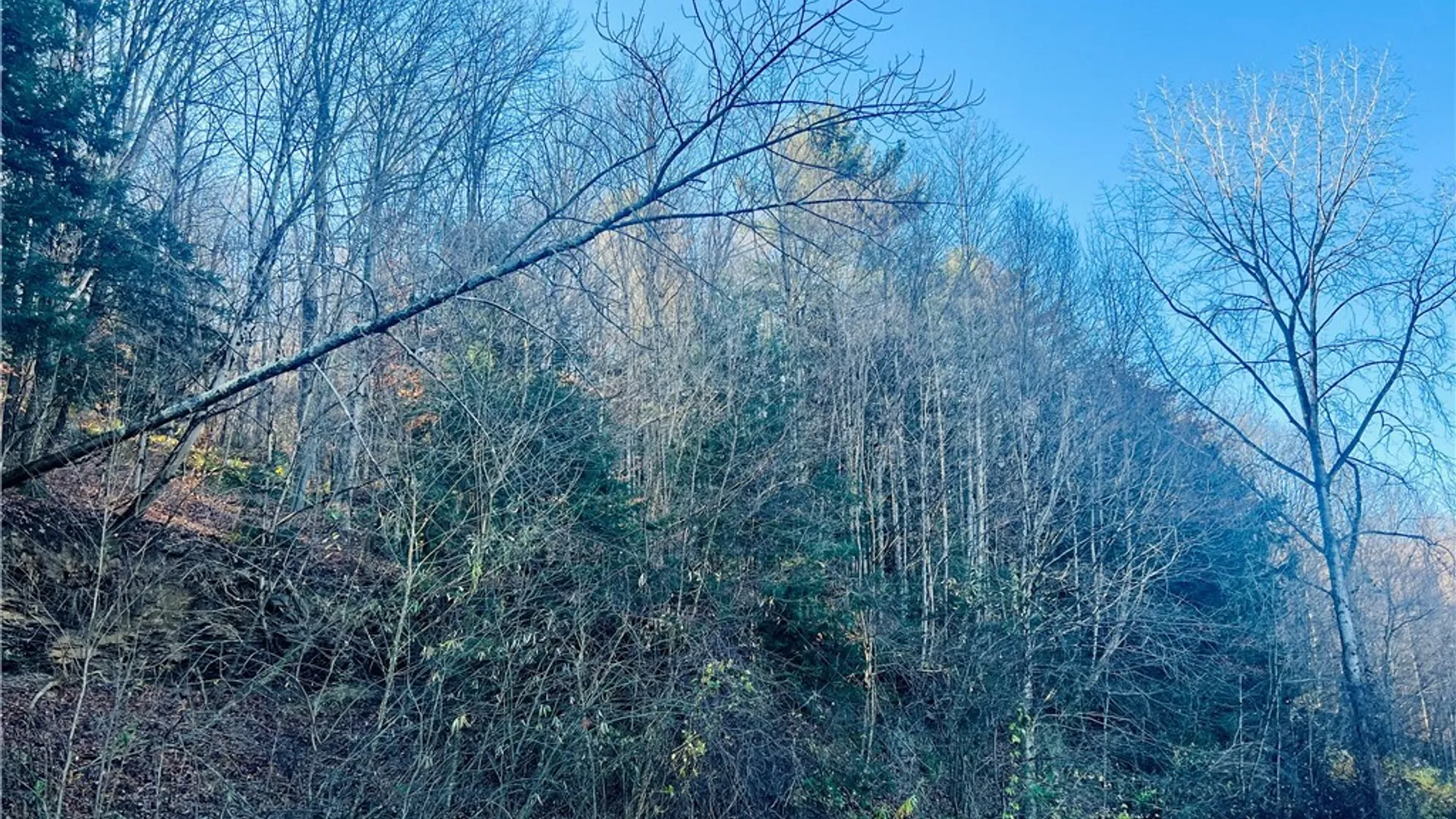 Property at 0 W Cheningo Road Road, Truxton, NY 13158 7