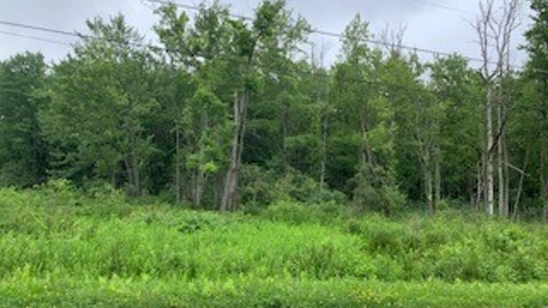 Property at County Line Road, Granby, NY 13135 3