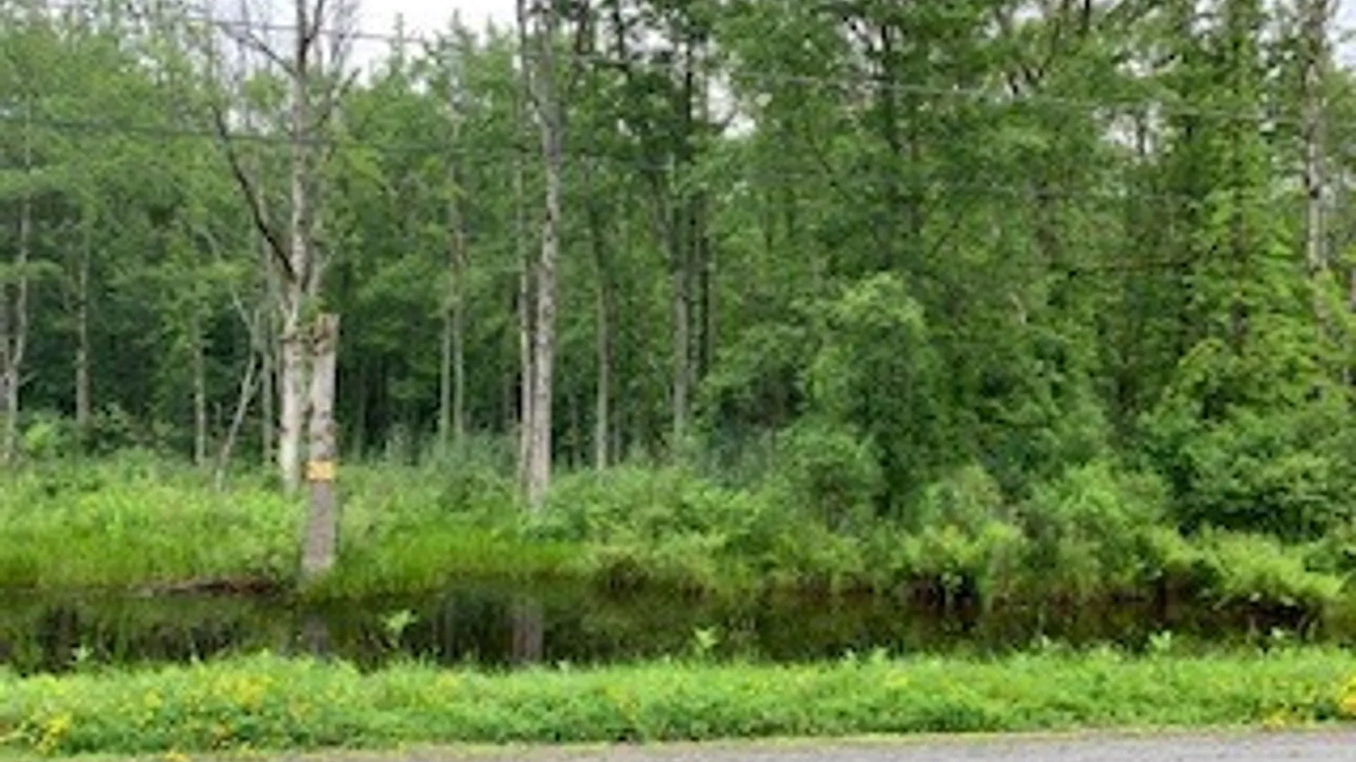 Property at County Line Road, Granby, NY 13135 4