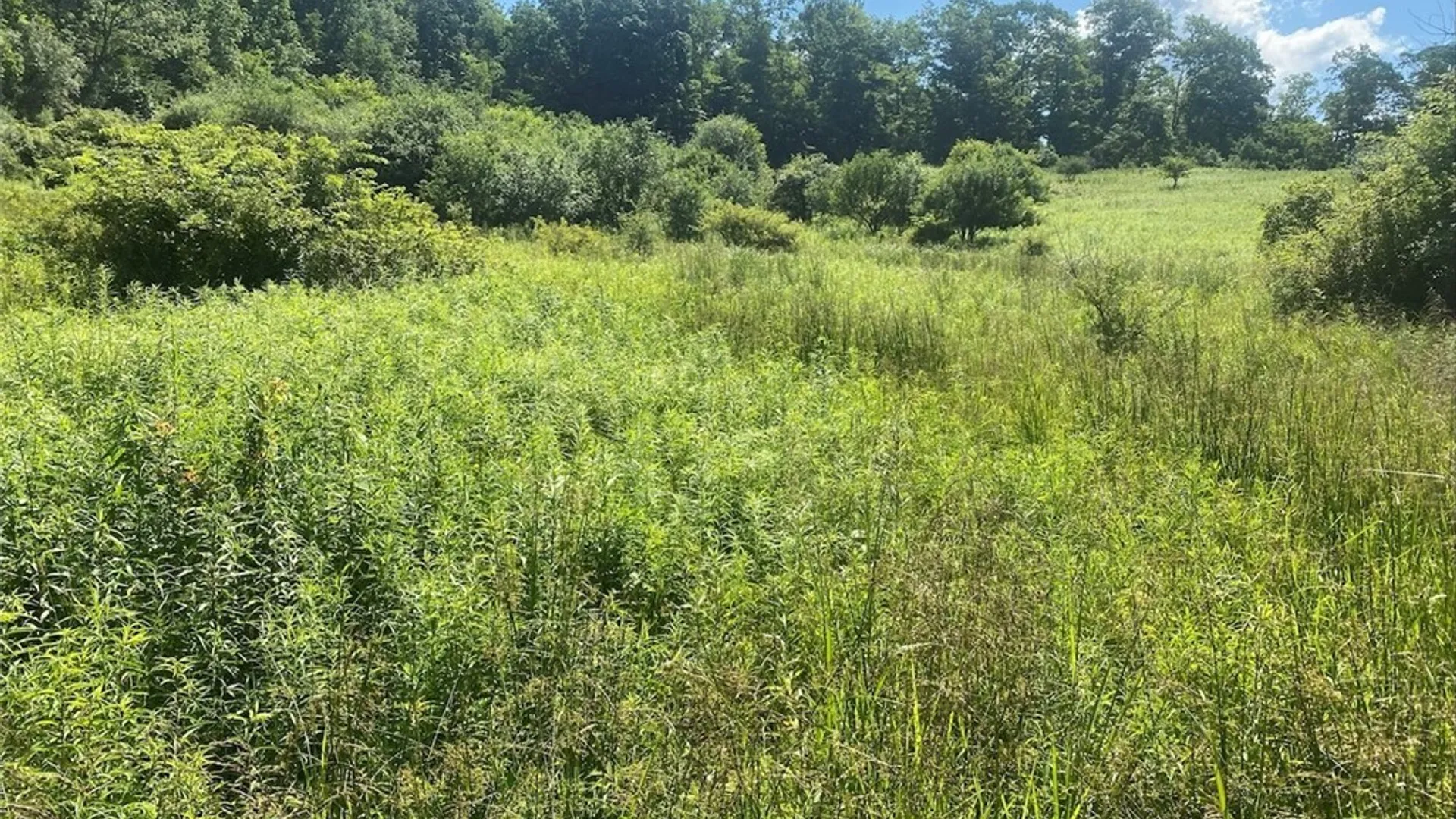 Property at 9079 Stout Road, Cuba, NY 14727 5