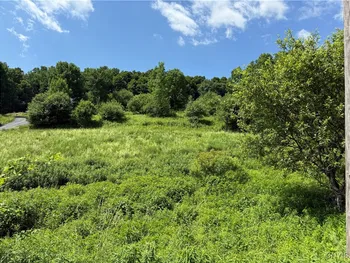 Property at 6632 Turin Road, West Turin, NY 13473