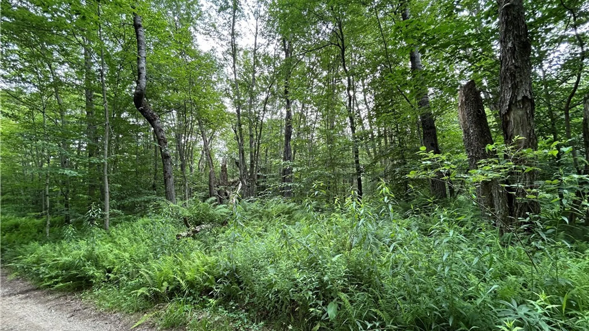 Property at 42 Kimball Camp Road, Orwell, NY 13144 2
