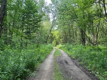 Property at Kimball Camp Road, Orwell, NY 13144