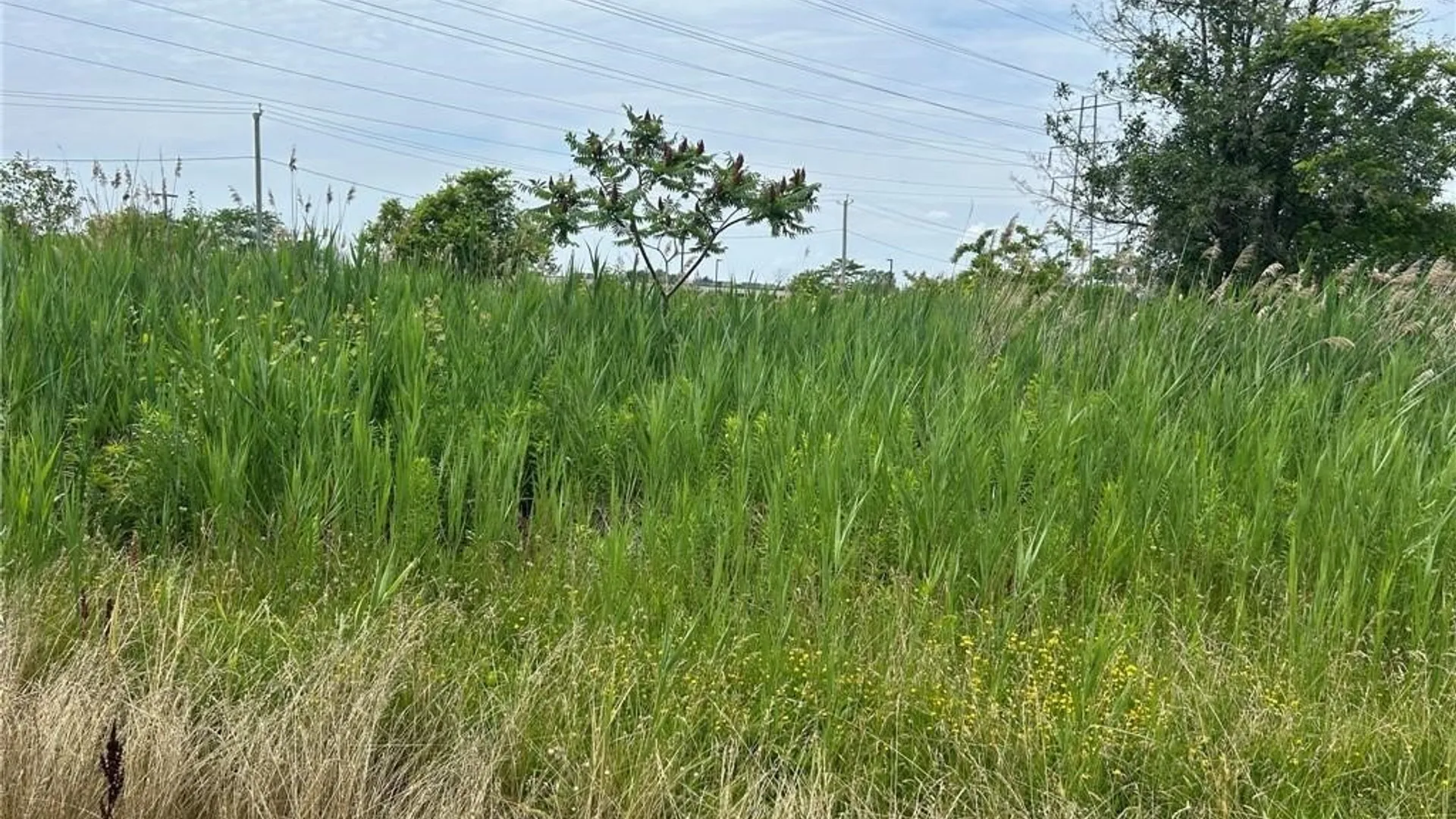 Property at 0 Williams Road, Wheatfield, NY 14304 5