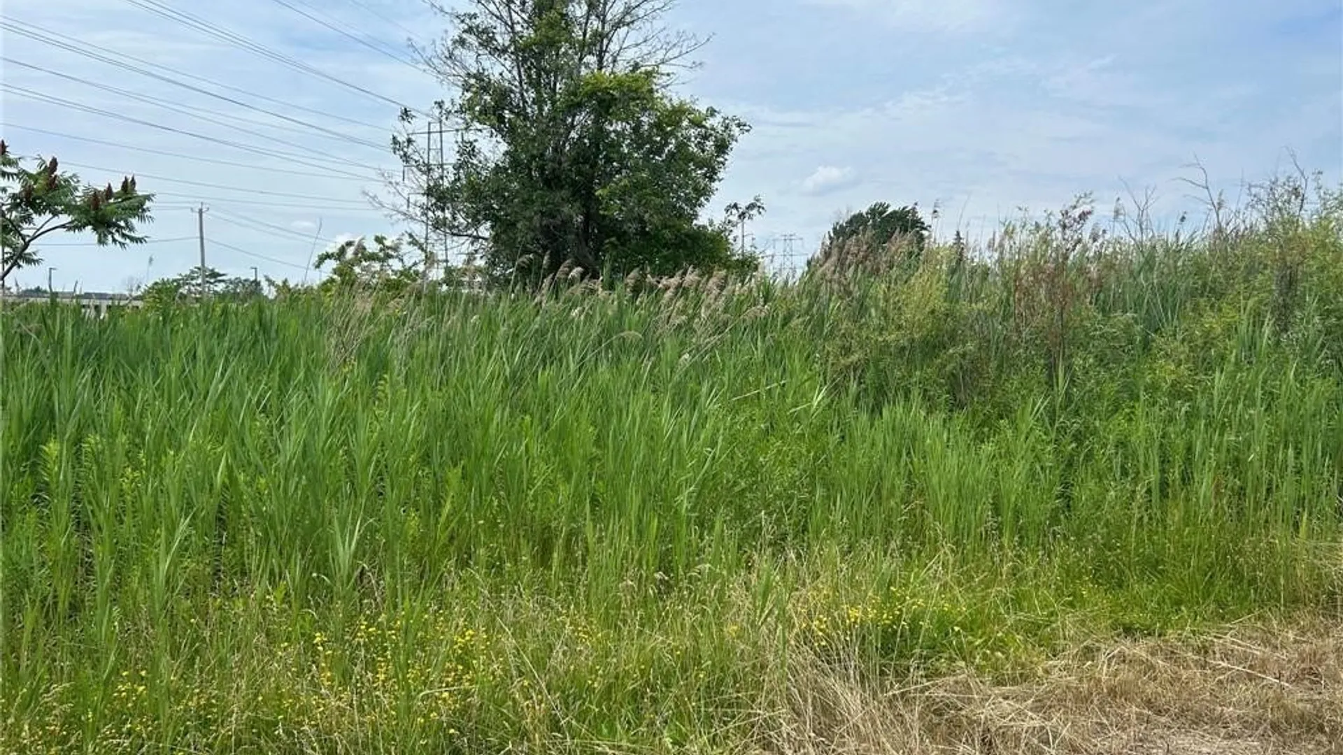 Property at 0 Williams Road, Wheatfield, NY 14304 6