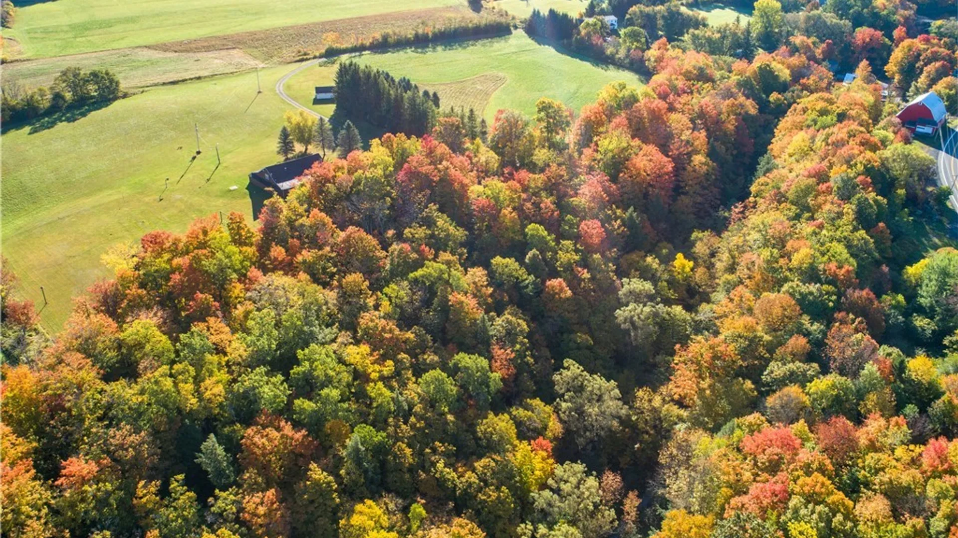 Property at 6023 Glen Haven Road, Niles, NY 13118 15