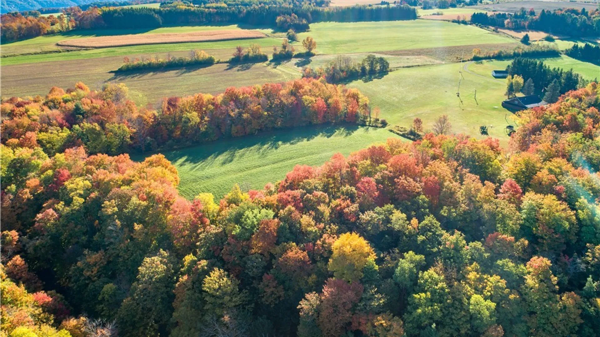 Property at 6023 Glen Haven Road, Niles, NY 13118 17