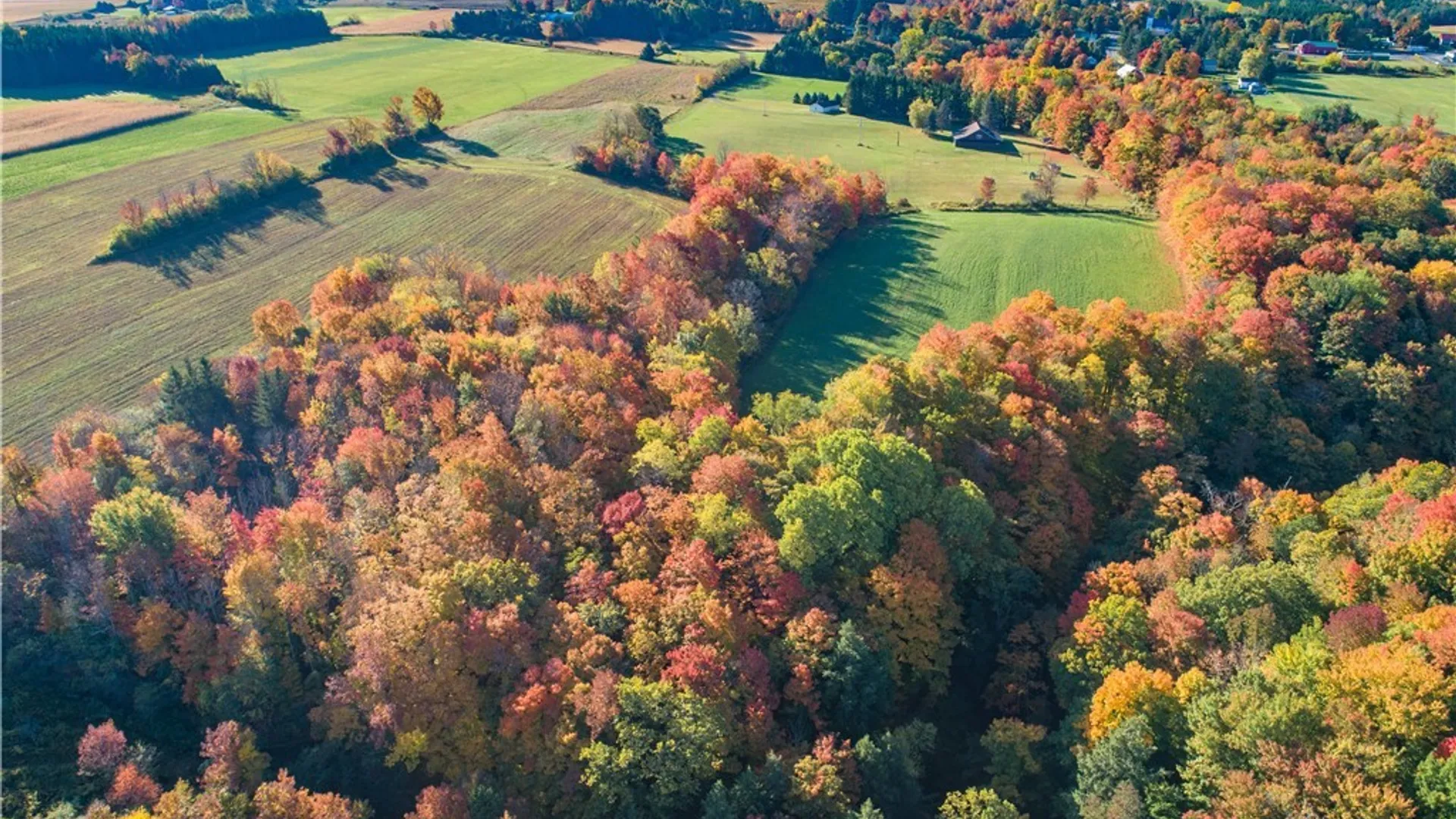 Property at 6023 Glen Haven Road, Niles, NY 13118 18