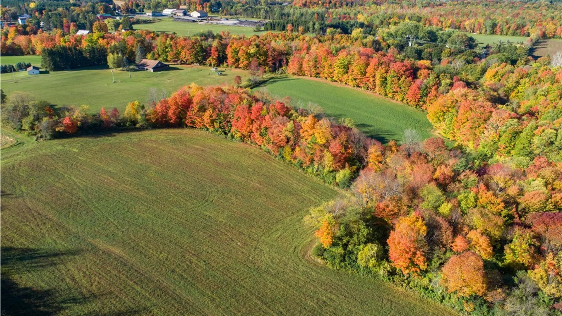 Property at 6023 Glen Haven Road, Niles, NY 13118 2