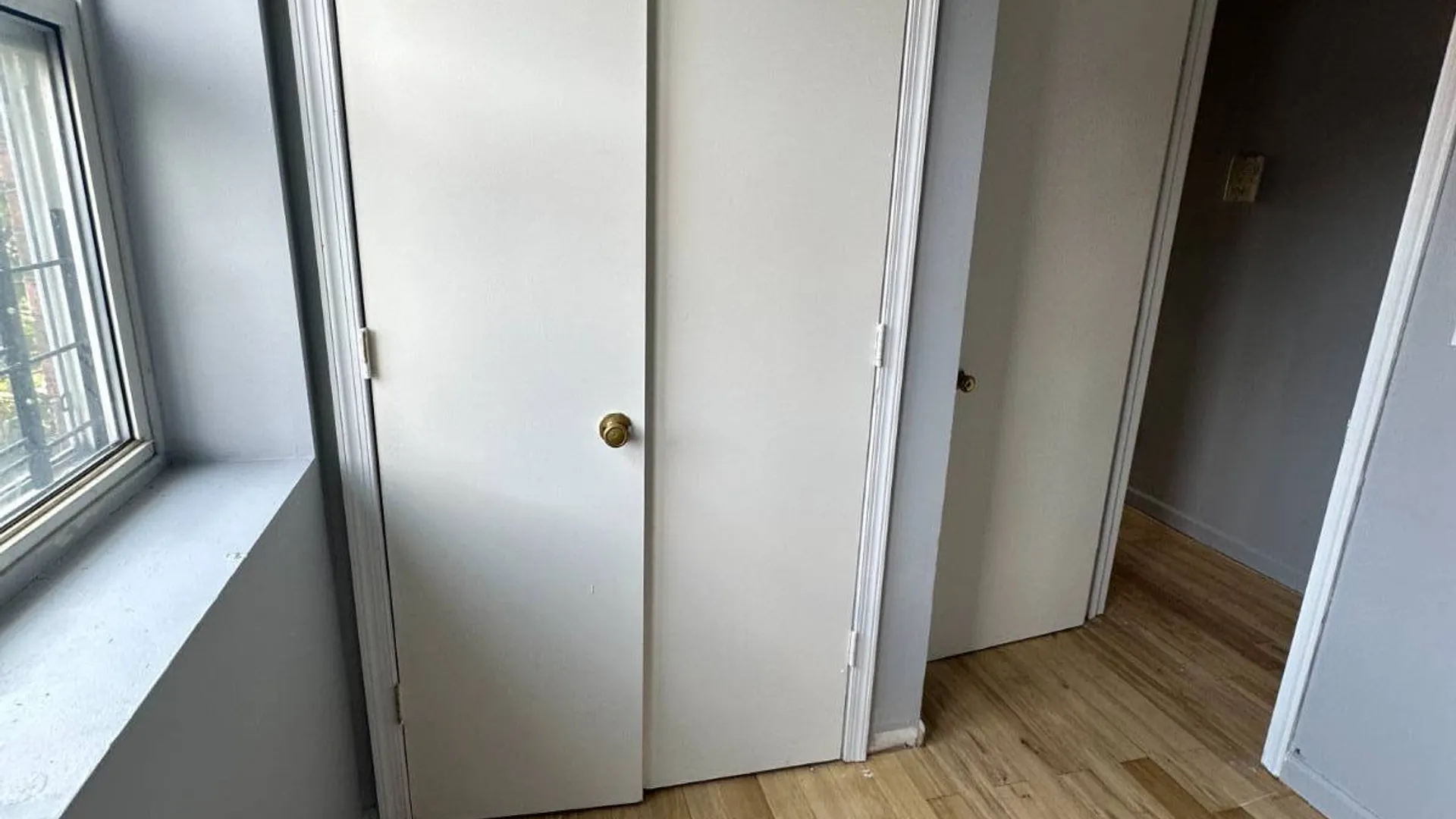 Property at 807 Barbey Street, Brooklyn, NY 11207 19