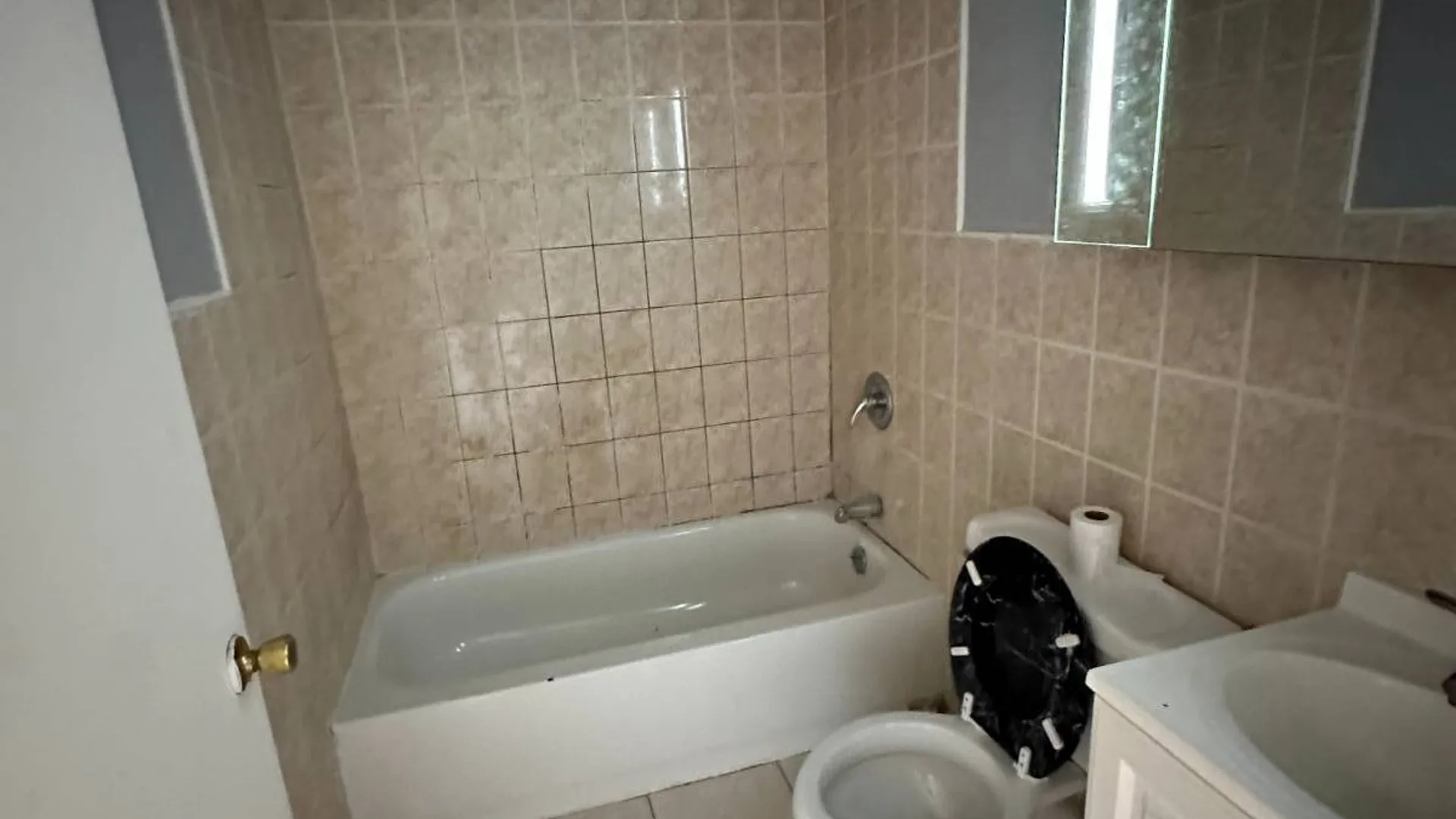 Property at 807 Barbey Street, Brooklyn, NY 11207 22