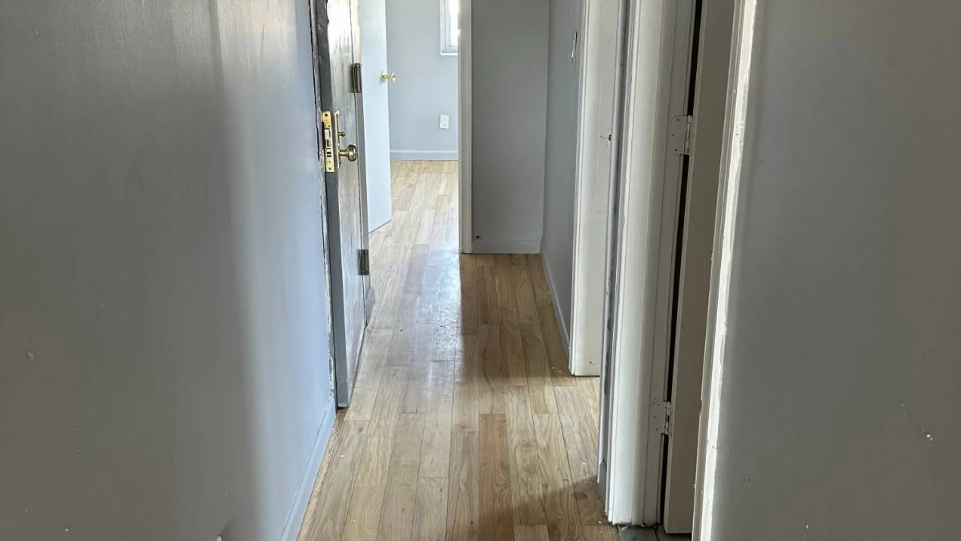 Property at 807 Barbey Street, Brooklyn, NY 11207 27