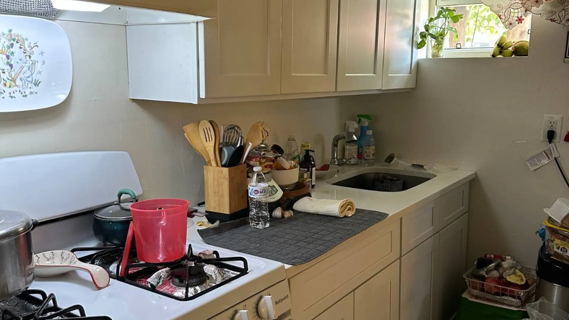 Property at 807 Barbey Street, Brooklyn, NY 11207 29