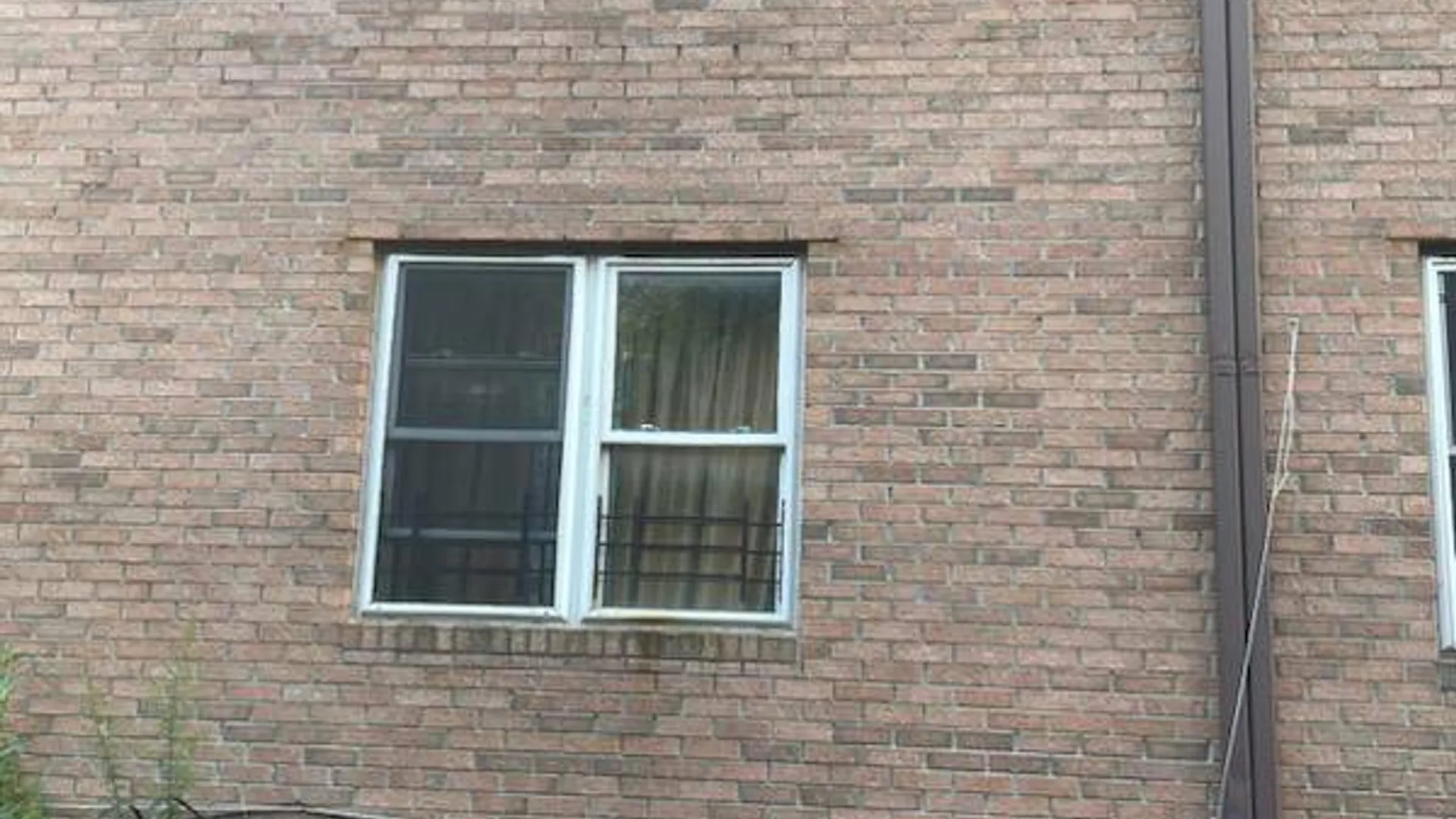 Property at 807 Barbey Street, Brooklyn, NY 11207 6