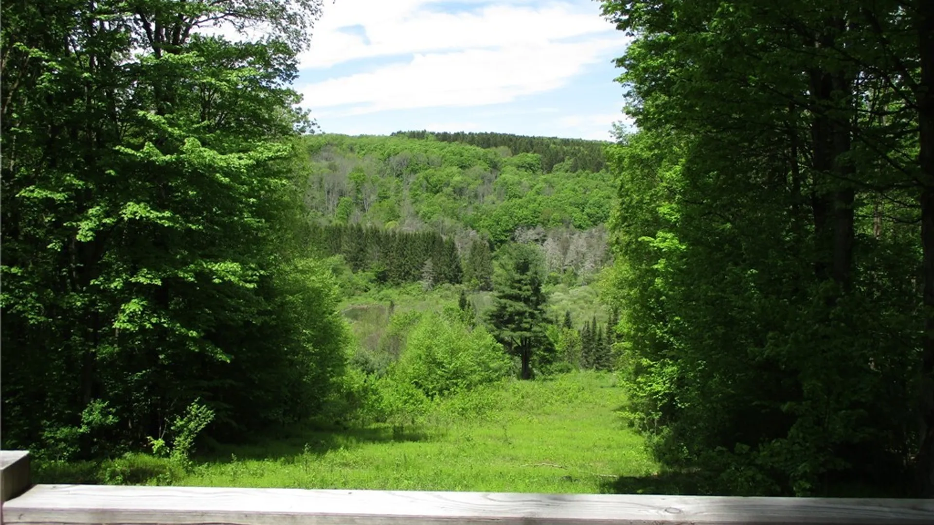 Property at Yankee Road, Ischua, NY 14743 2