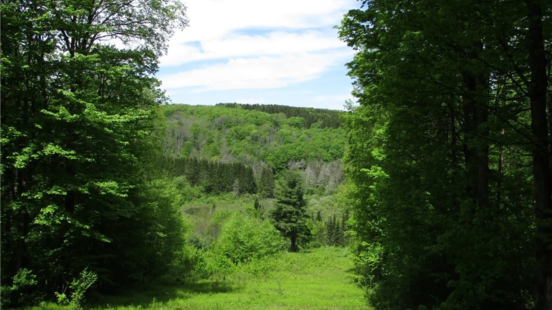 Property at Yankee Road, Ischua, NY 14743 29