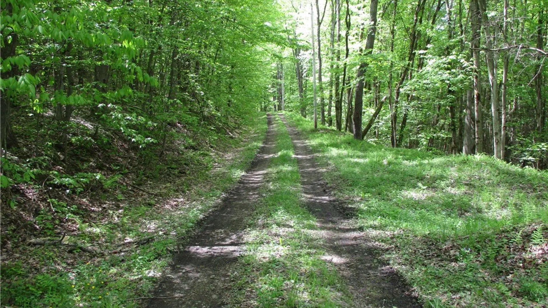 Property at Yankee Road, Ischua, NY 14743 30