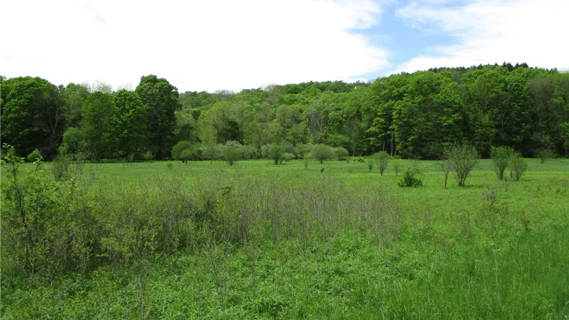 Property at Yankee Road, Ischua, NY 14743 31