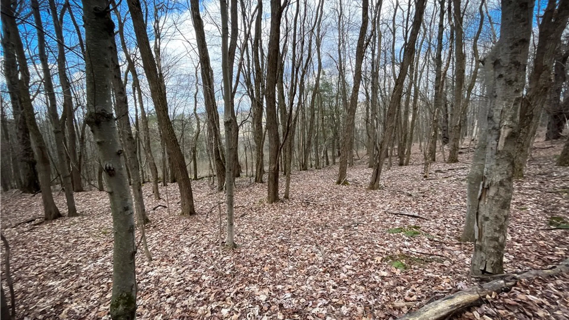 Property at 284 Spencer Road, Spencer, NY 14883 36
