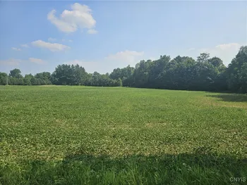 Property at Clinton Road, Brutus, NY 13166
