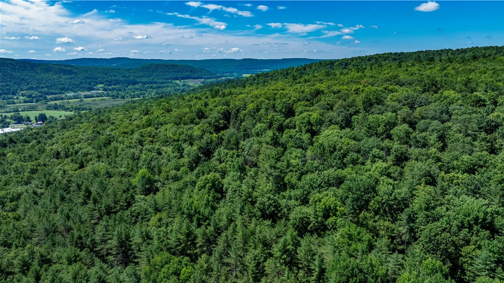 Property at Lower Ravine Road, Norwich, NY 13815 12