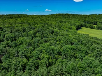 Property at Lower Ravine Road, Norwich, NY 13815