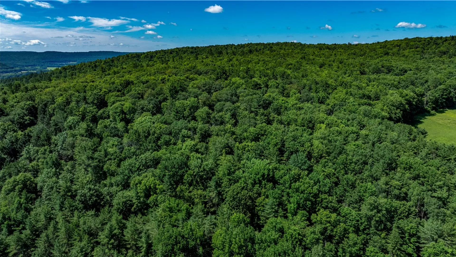 Property at Lower Ravine Road, Norwich, NY 13815 2