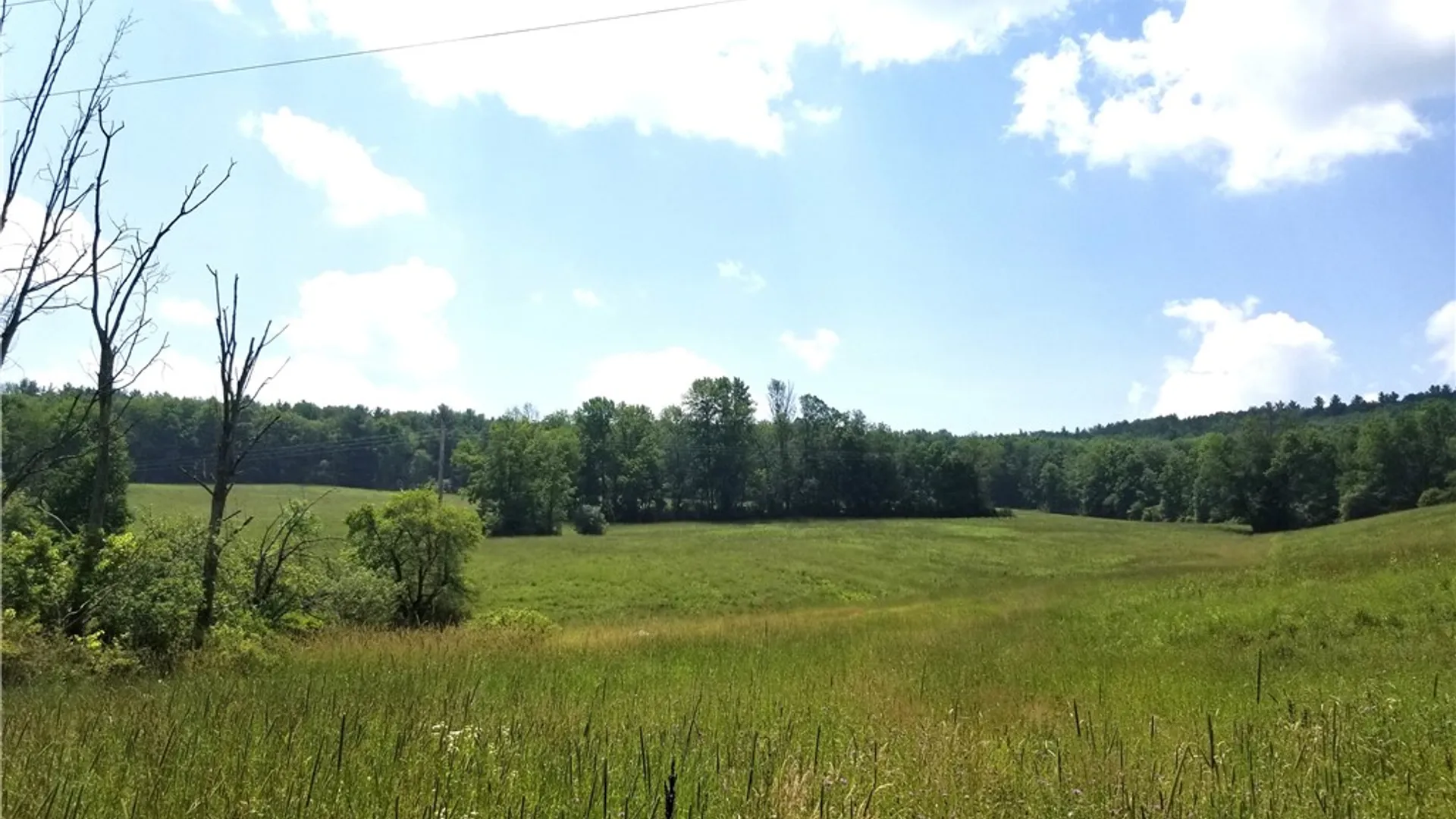 Property at Lower Ravine Road, Norwich, NY 13815 21