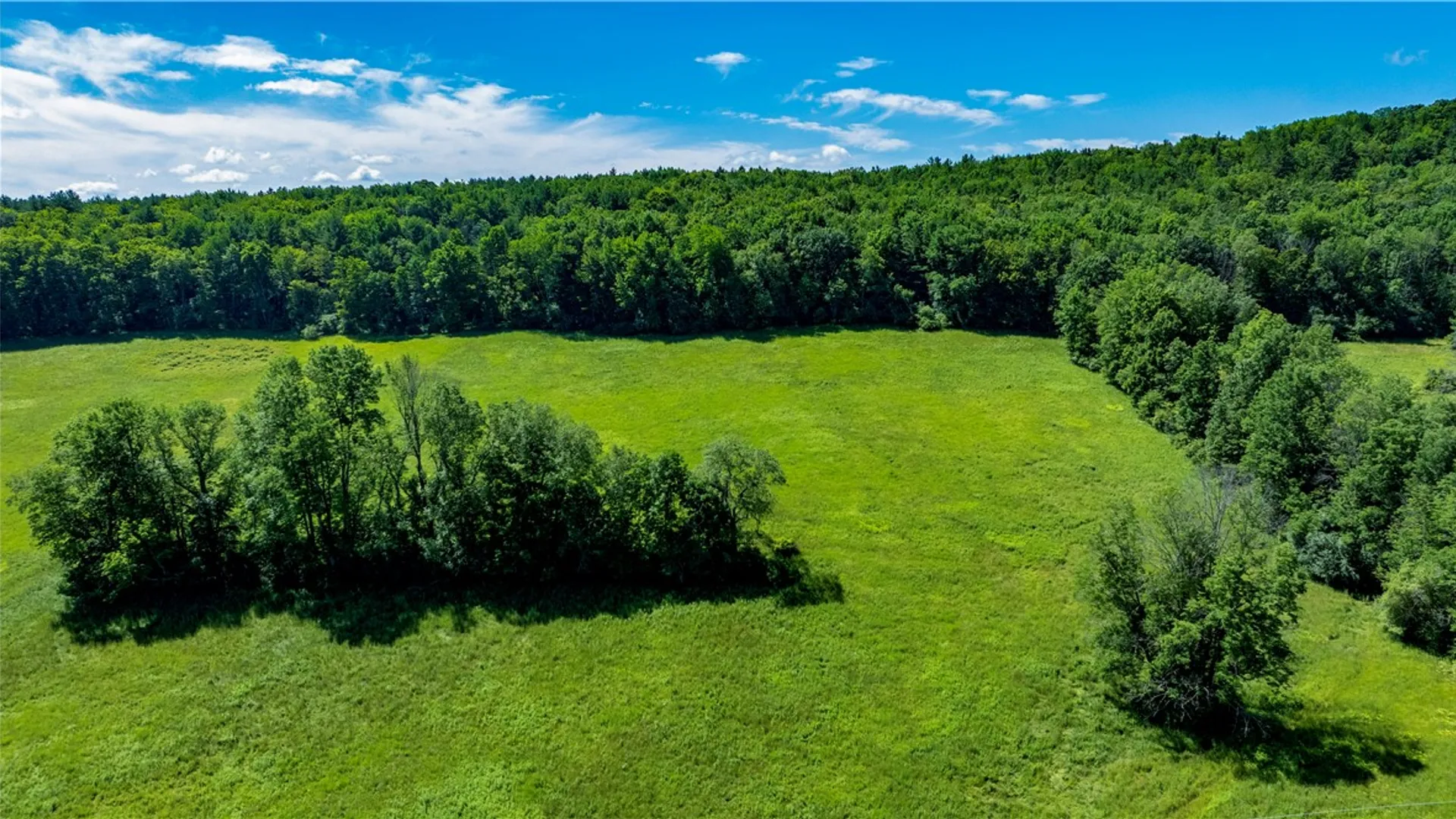 Property at Lower Ravine Road, Norwich, NY 13815 8