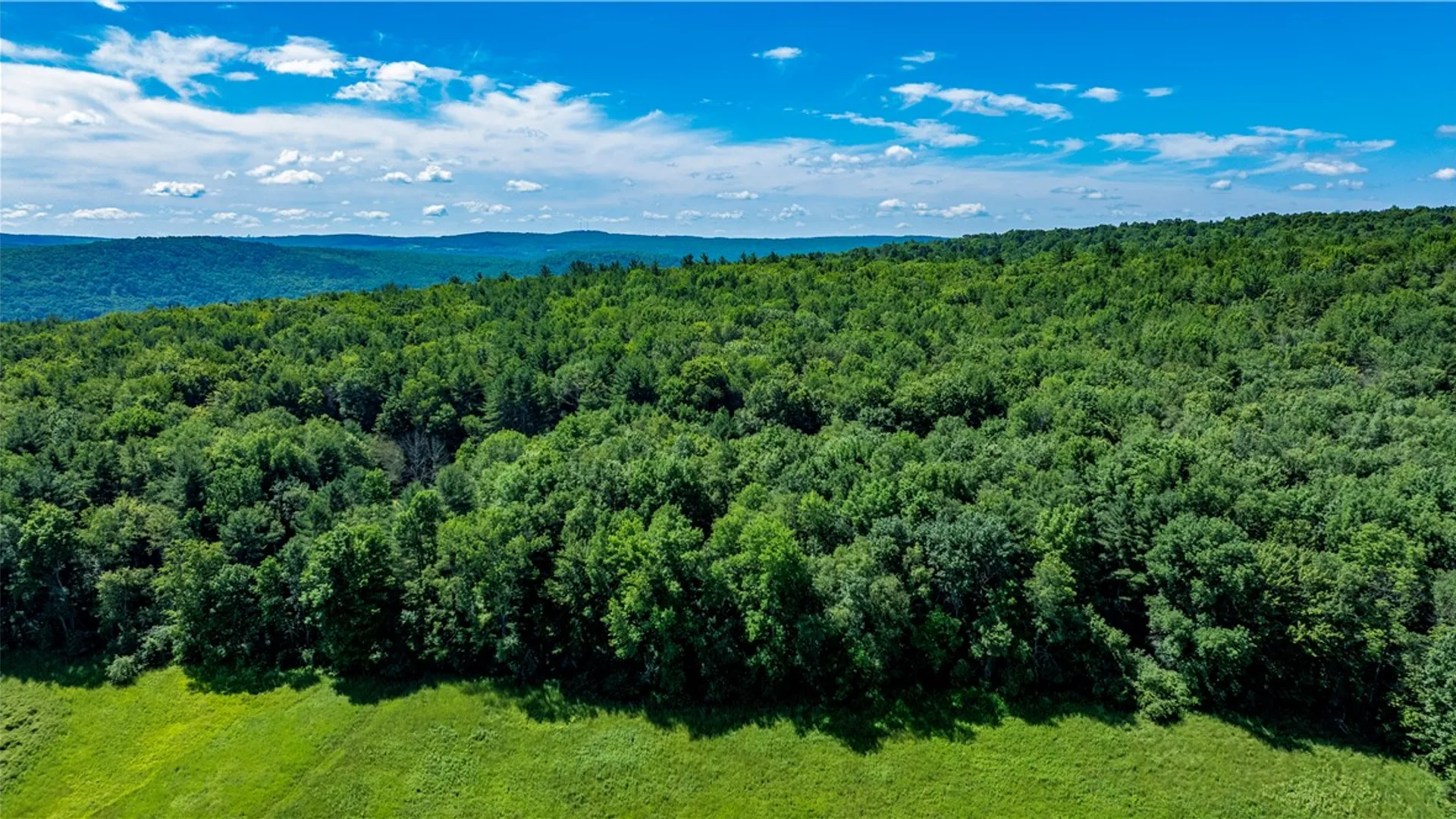 Property at Lower Ravine Road, Norwich, NY 13815 9