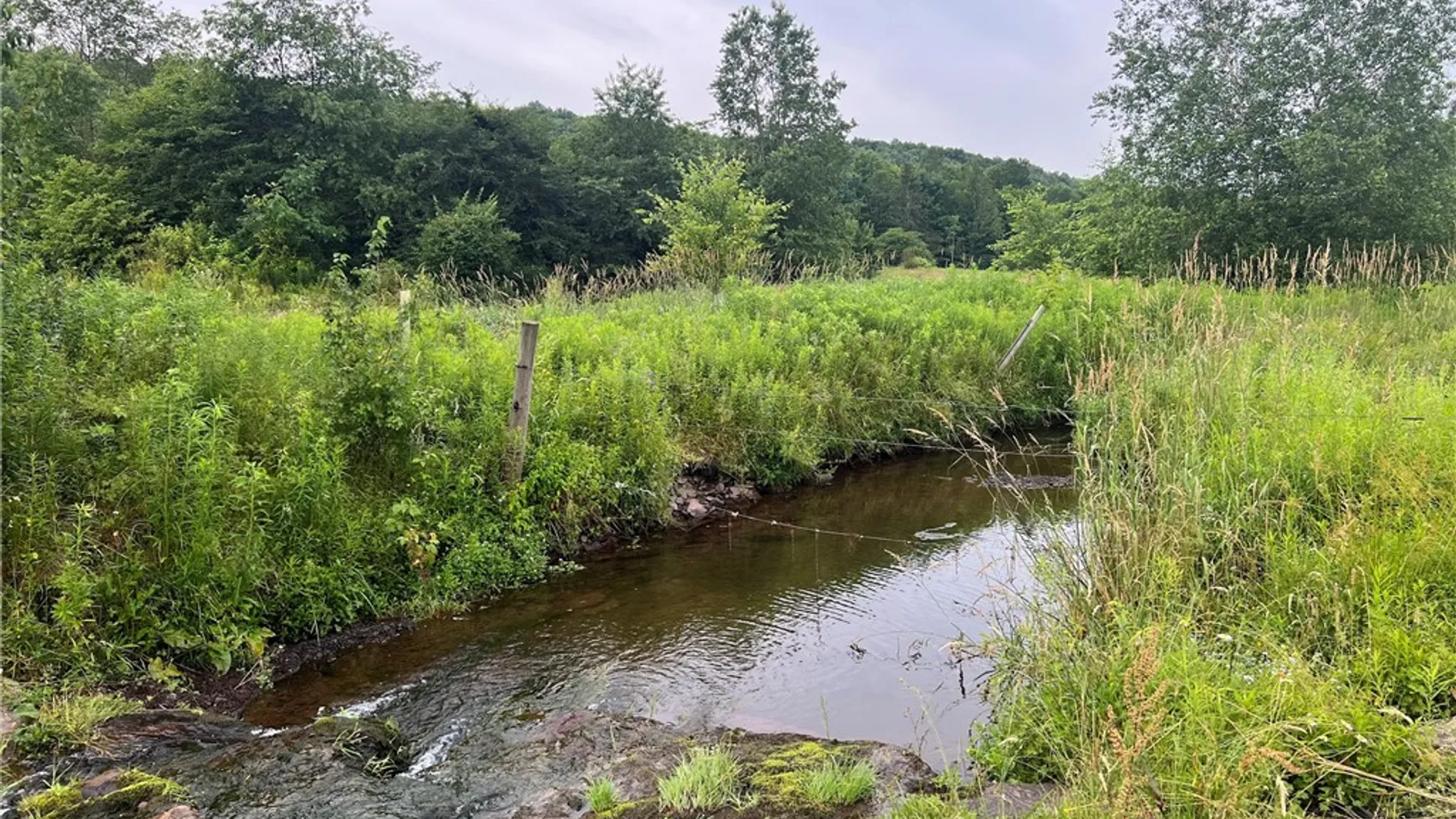 Property at 834 Crescent Valley Road, Bovina, NY 13740 16