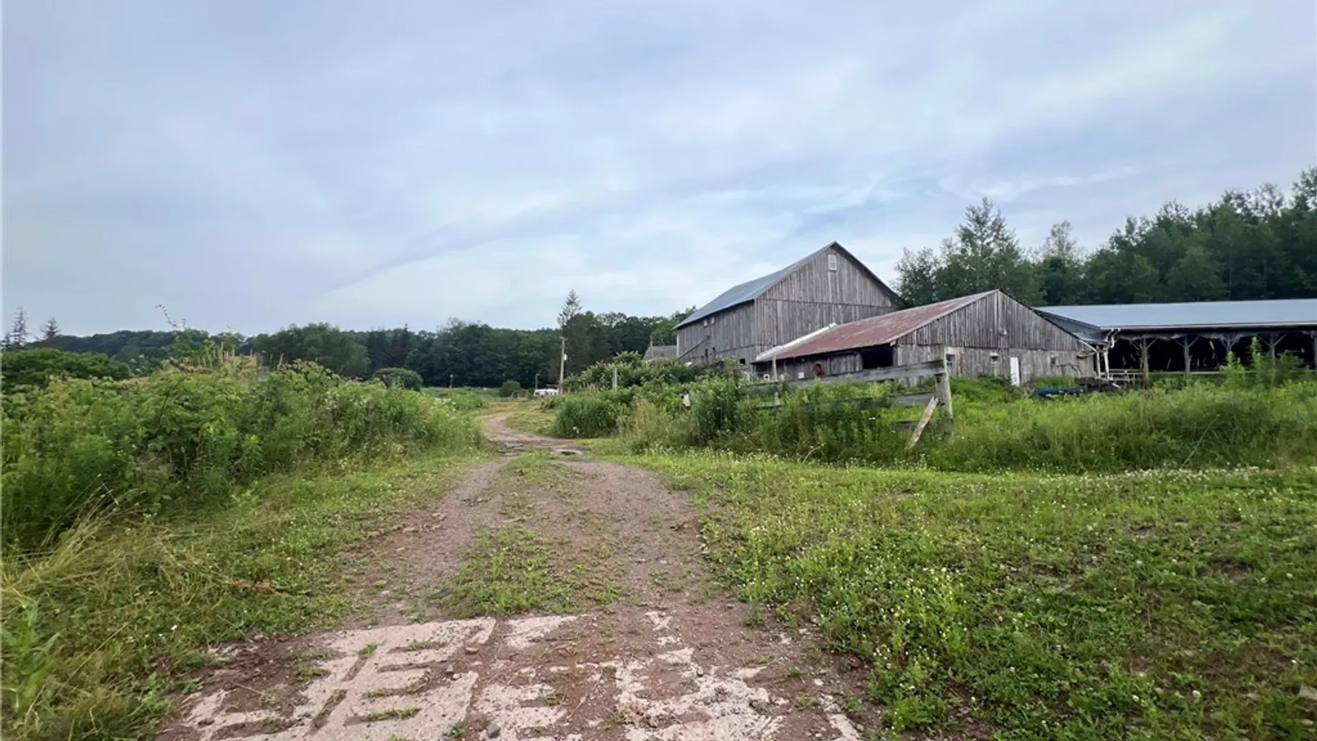 Property at 834 Crescent Valley Road, Bovina, NY 13740 17