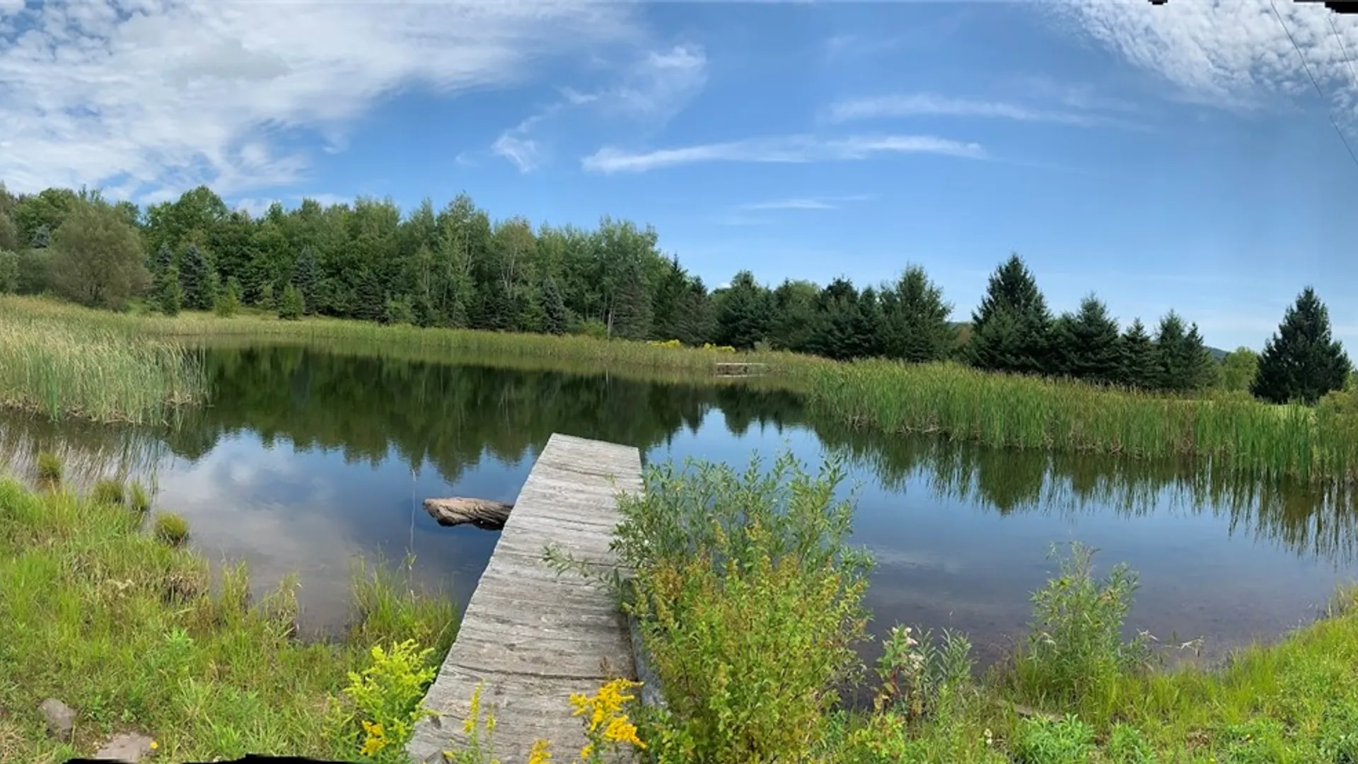 Property at 1111 Huska Road, Delhi, NY 13752 46