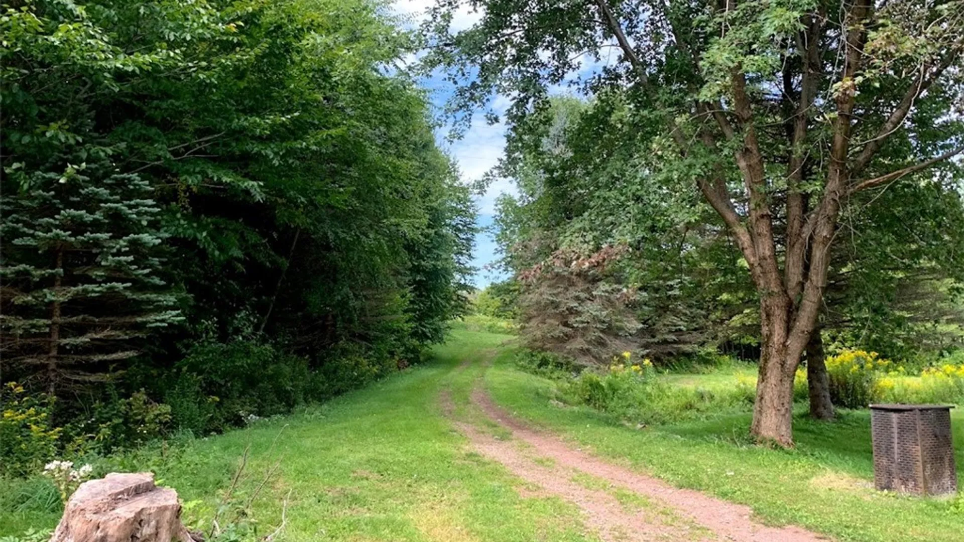 Property at 1111 Huska Road, Delhi, NY 13752 50