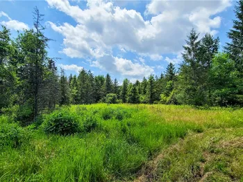 Property at 5185 Terrell Road, Ulysses, NY 14886