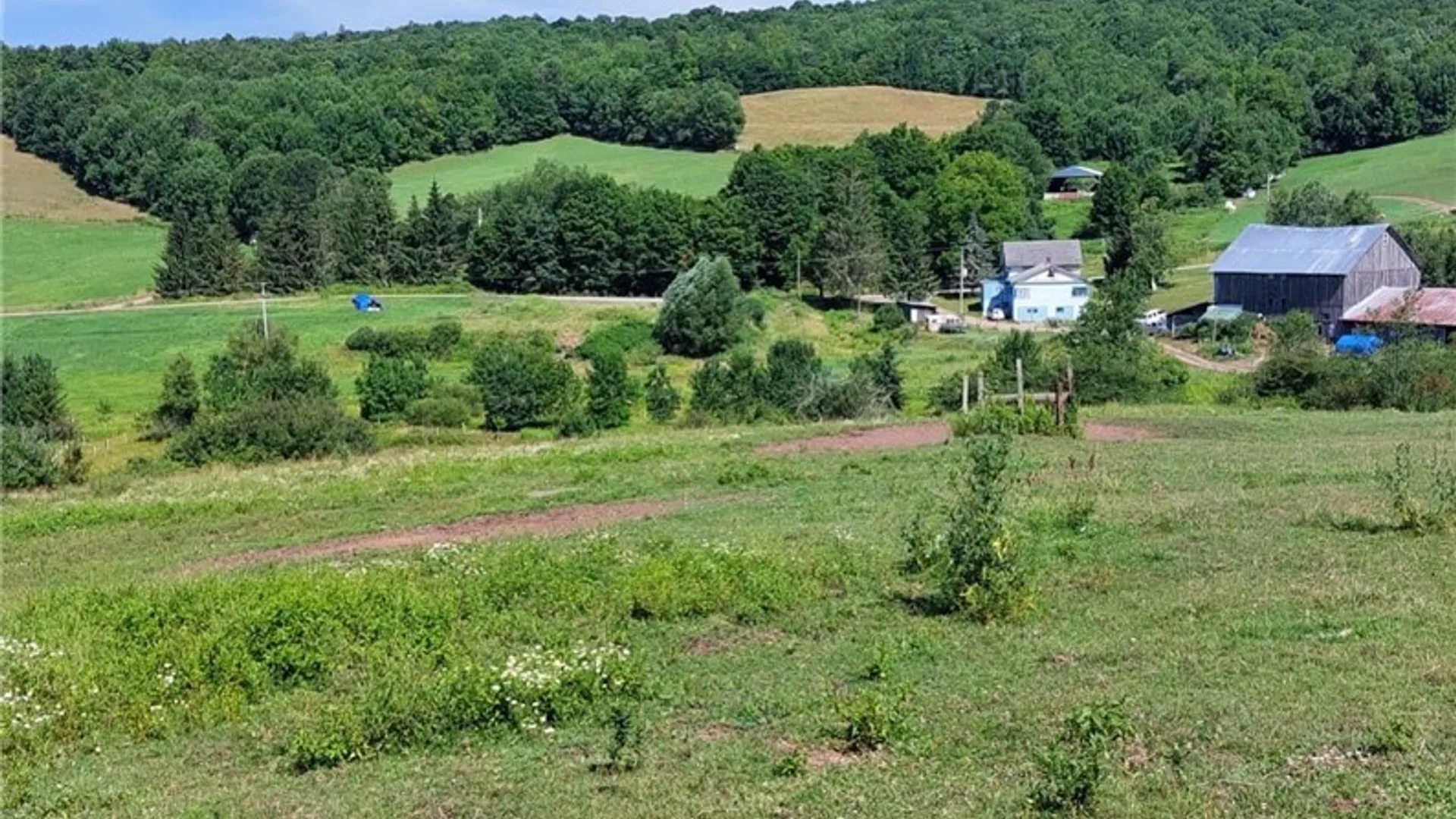 Property at 834 Crescent Valley Road, Bovina, NY 13740 2