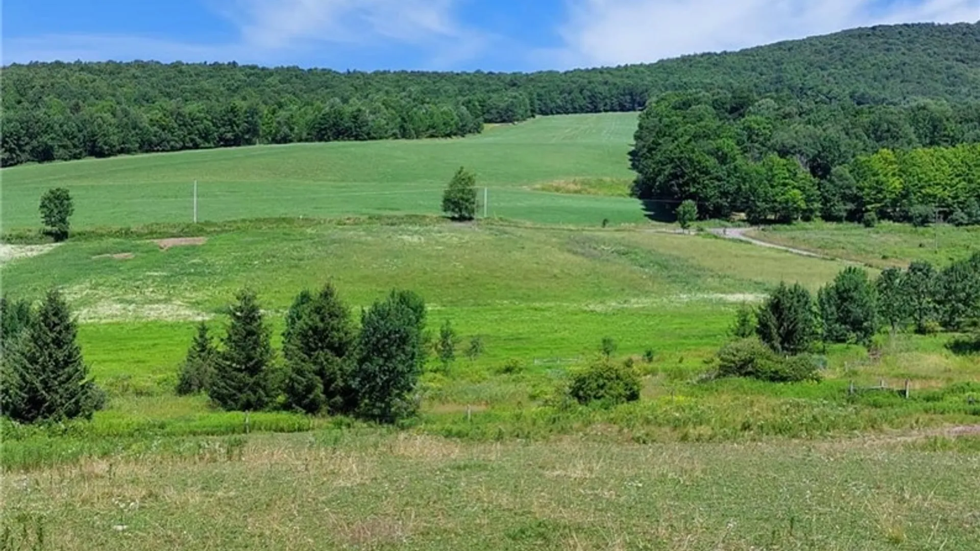Property at 834 Crescent Valley Road, Bovina, NY 13740 3