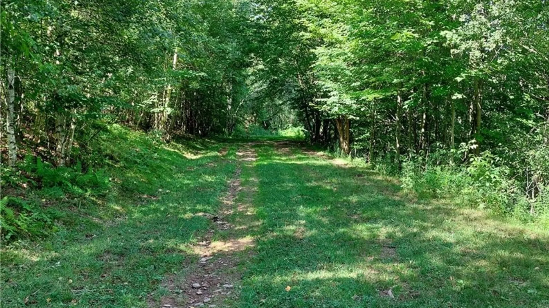 Property at 834 Crescent Valley Road, Bovina, NY 13740 4
