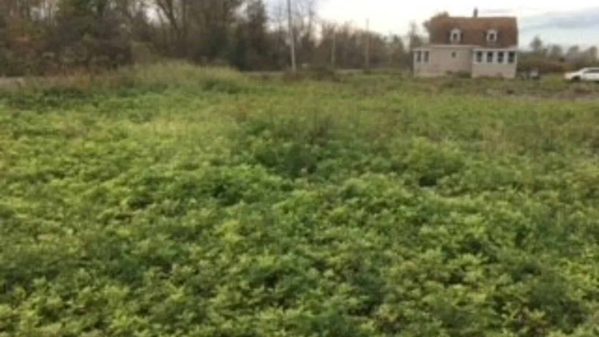 Property at 6069 Muck Road, Rome, NY 13440 4