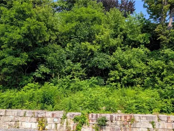 Water Street, Porter, NY 14174