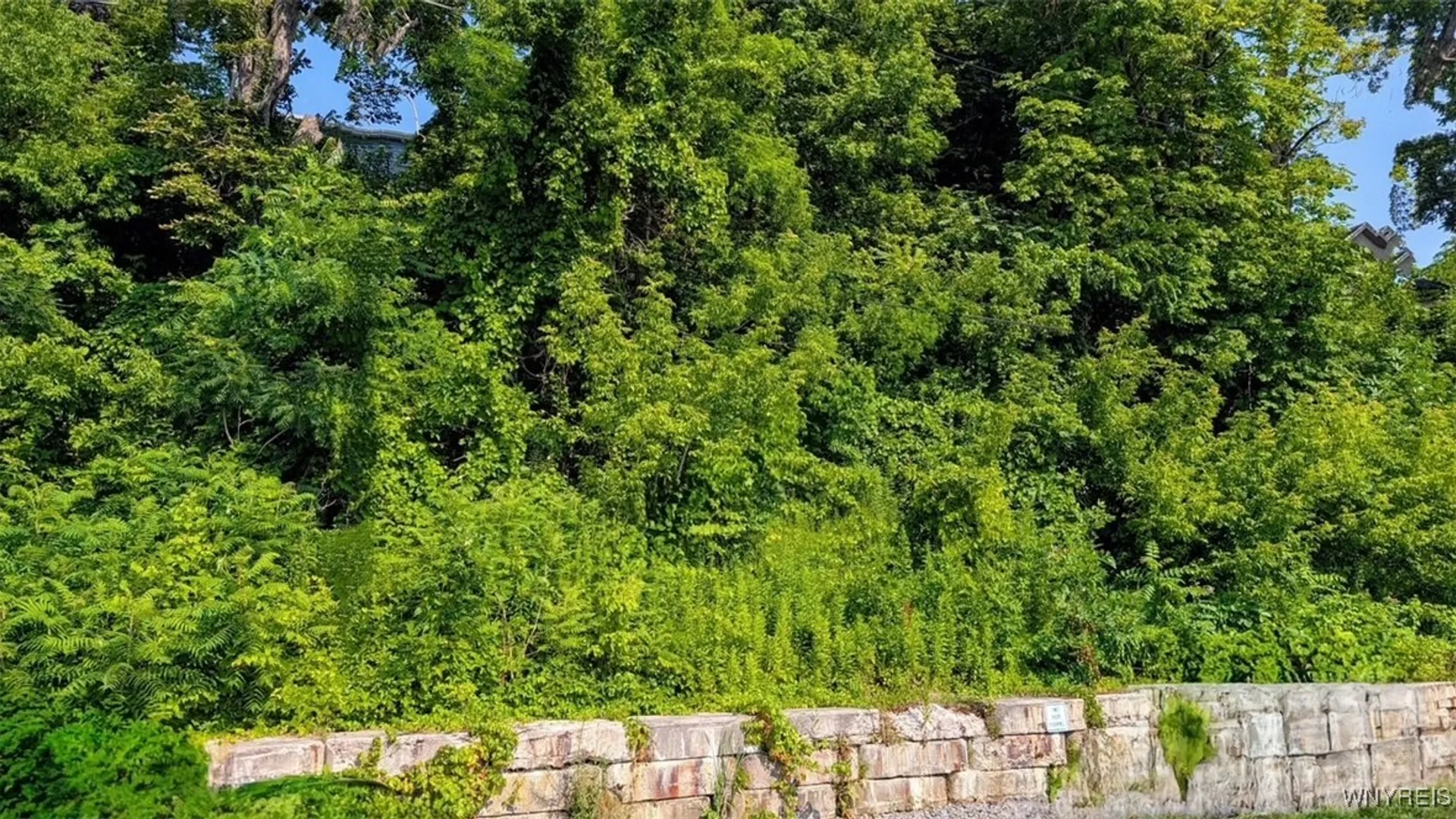 Property at Water Street, Porter, NY 14174 3