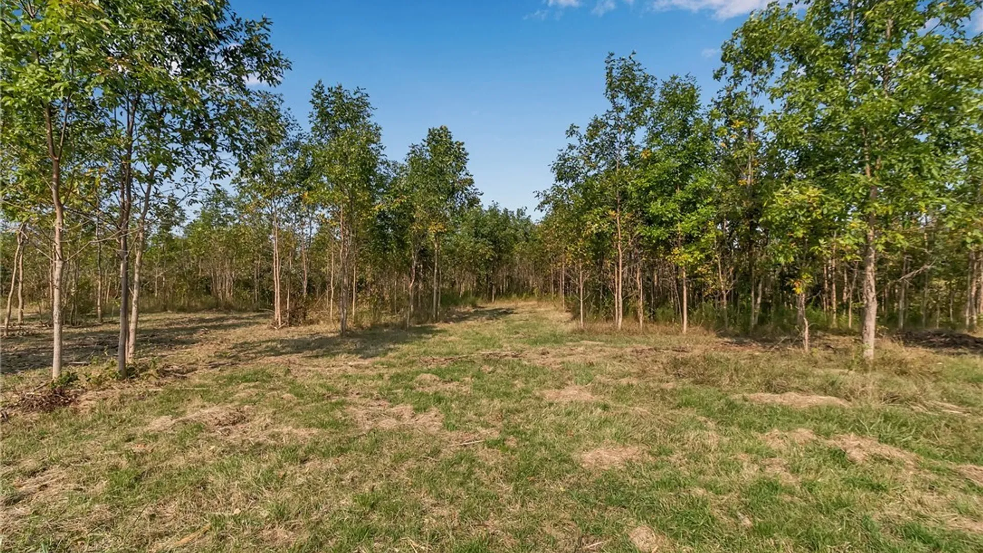 Property at V/L Barnum Road, Newstead, NY 14001 14
